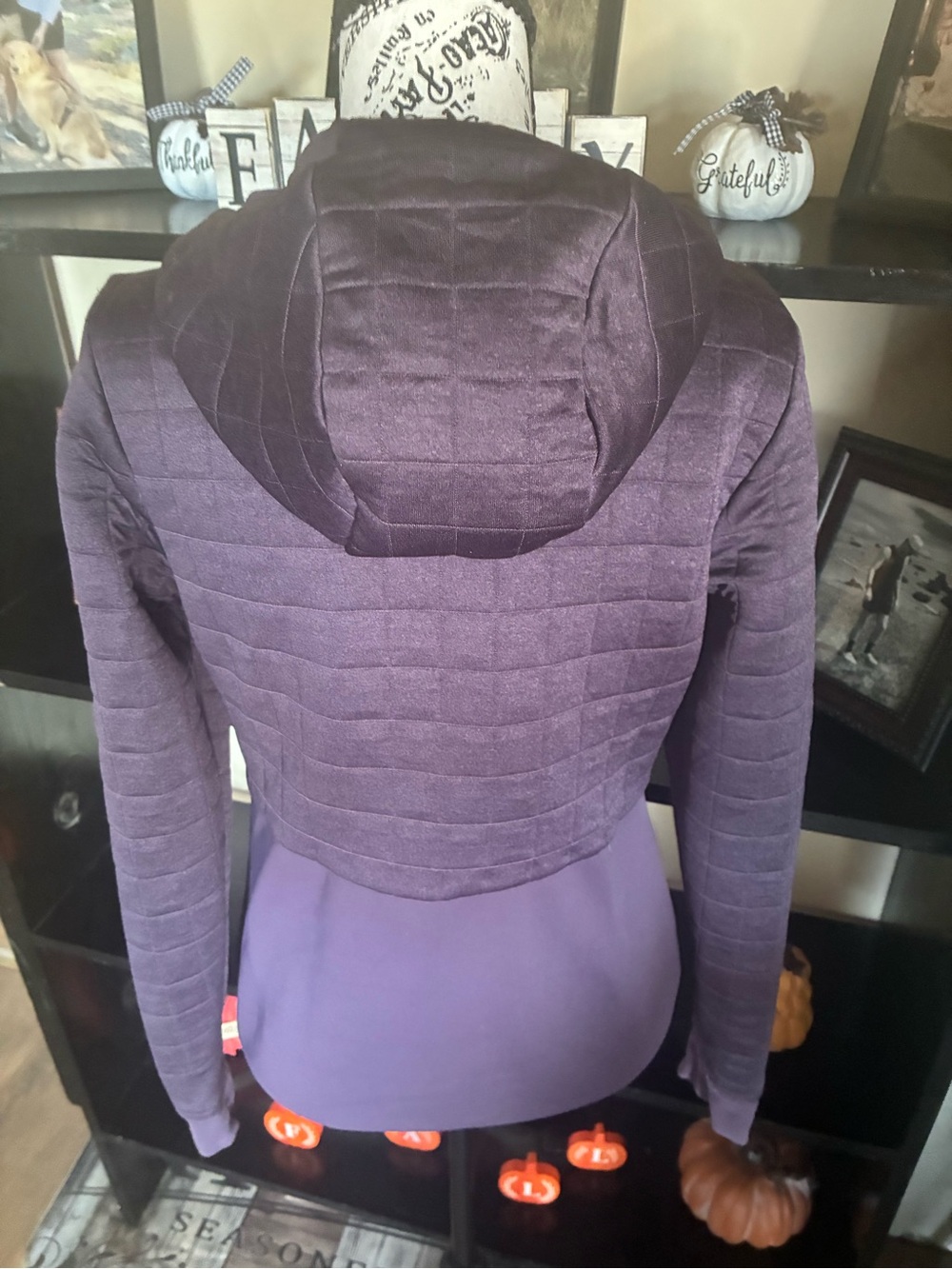 The North Face Women's Dark Purple Quilted Pullover Hoodie with Pink Logo - Picture 2 of 11
